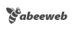 abeeweb.com.br
